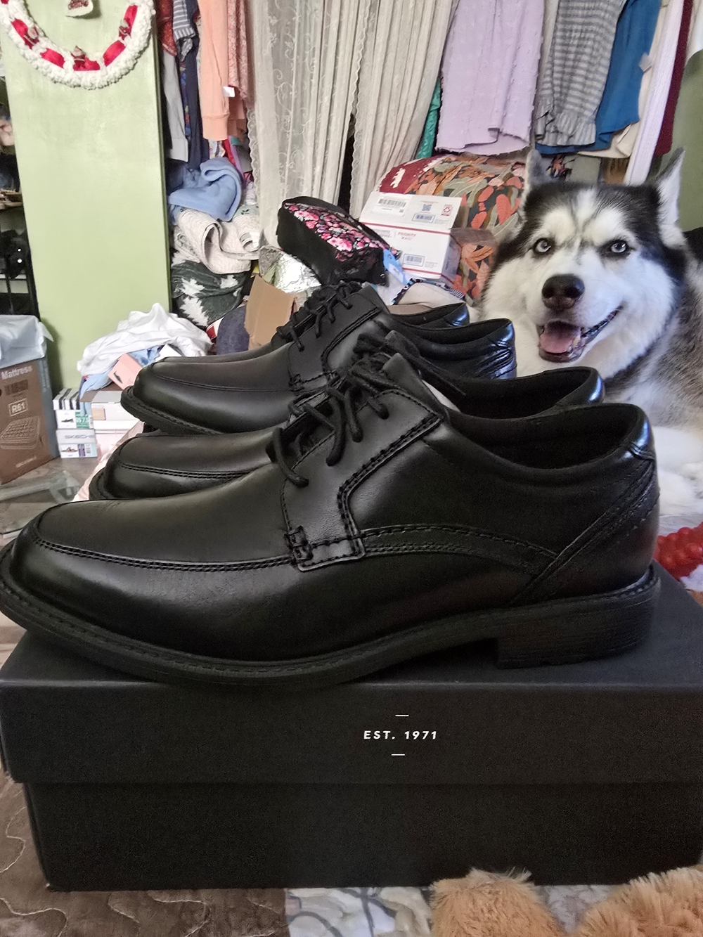 Rockport Black Leather Lace-Up Derbys - Classic Men’s Oxfords